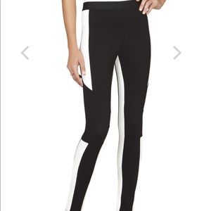 BCBG black and white pants